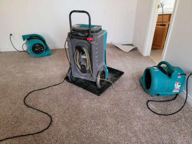 Best Carpet water damage restoration  in Myrtletown, CA