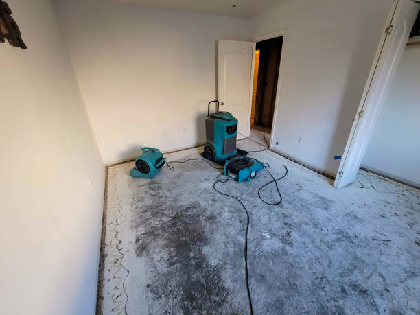 Best Water damage restoration near me  in Myrtletown, CA