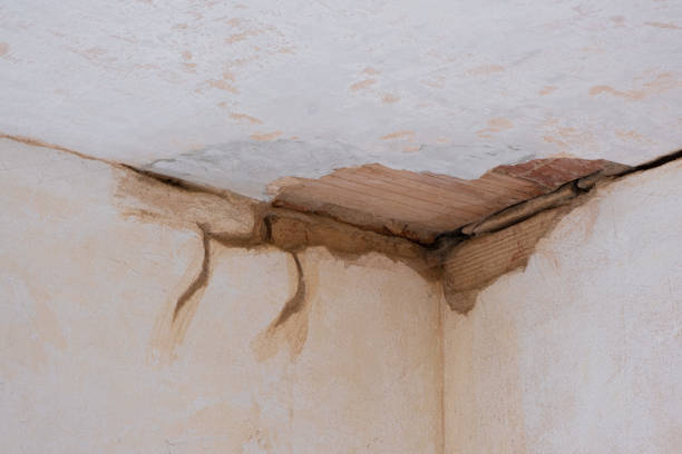 Best Flood restoration services  in Myrtletown, CA