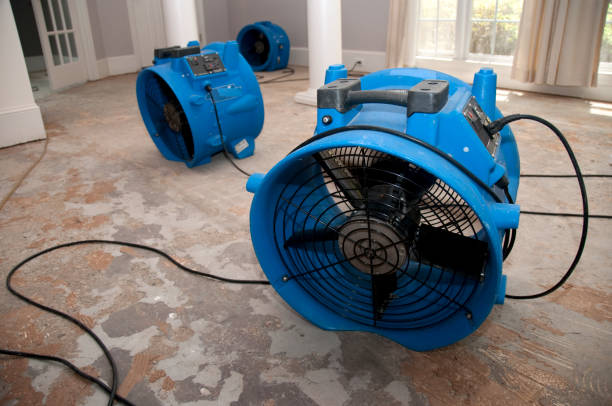 Best Fire Damage Restoration  in Myrtletown, CA