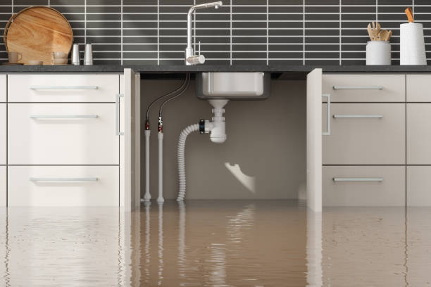 Best Water damage restoration near me  in Myrtletown, CA