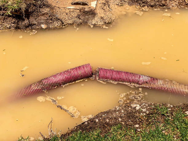 Best 24-hour water damage restoration  in Myrtletown, CA