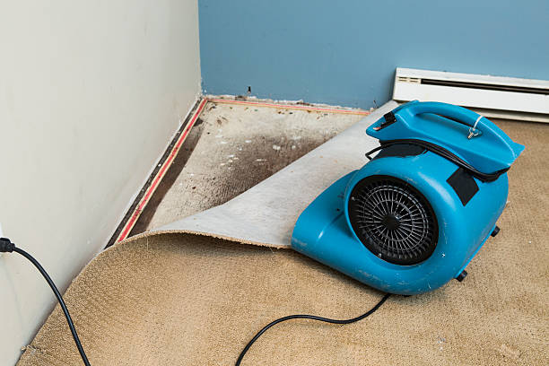 Best Emergency water damage restoration  in Myrtletown, CA